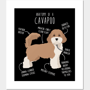 Parti Cavapoo Dog Anatomy Posters and Art